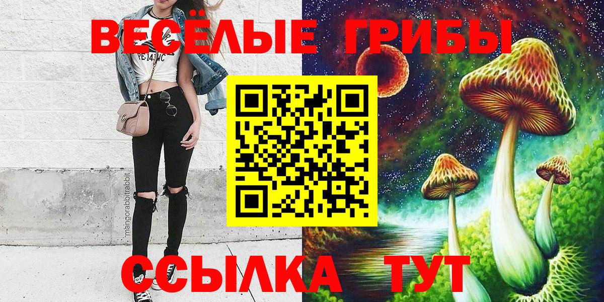 закладки  Галлюциногенные грибы GOLDEN TEACHER  Вход с VPN  Бугуруслан 